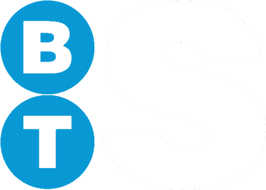 BTS Consulting